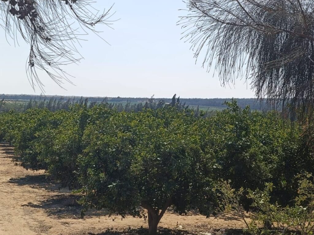 09d3df48-850b-4c1f-bfe2-577867eb323e