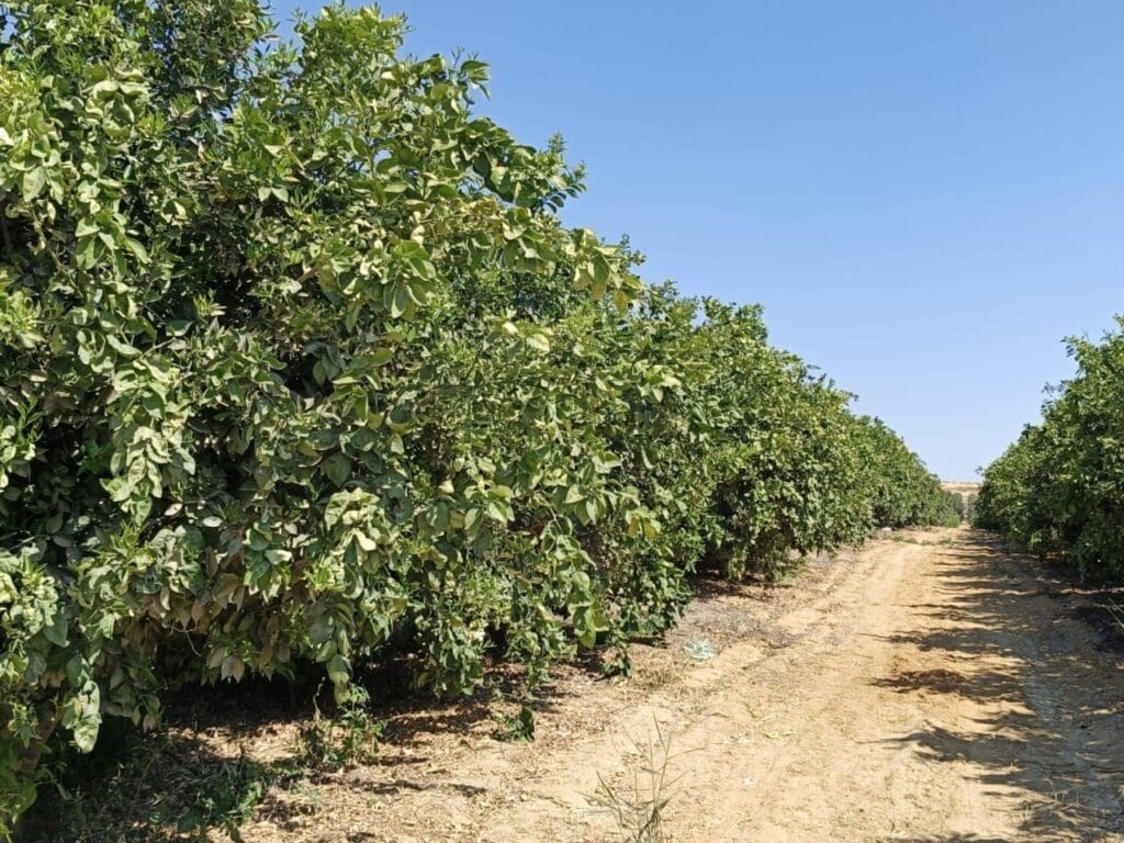 20c99299-d720-450b-85dd-1718bc3ba402