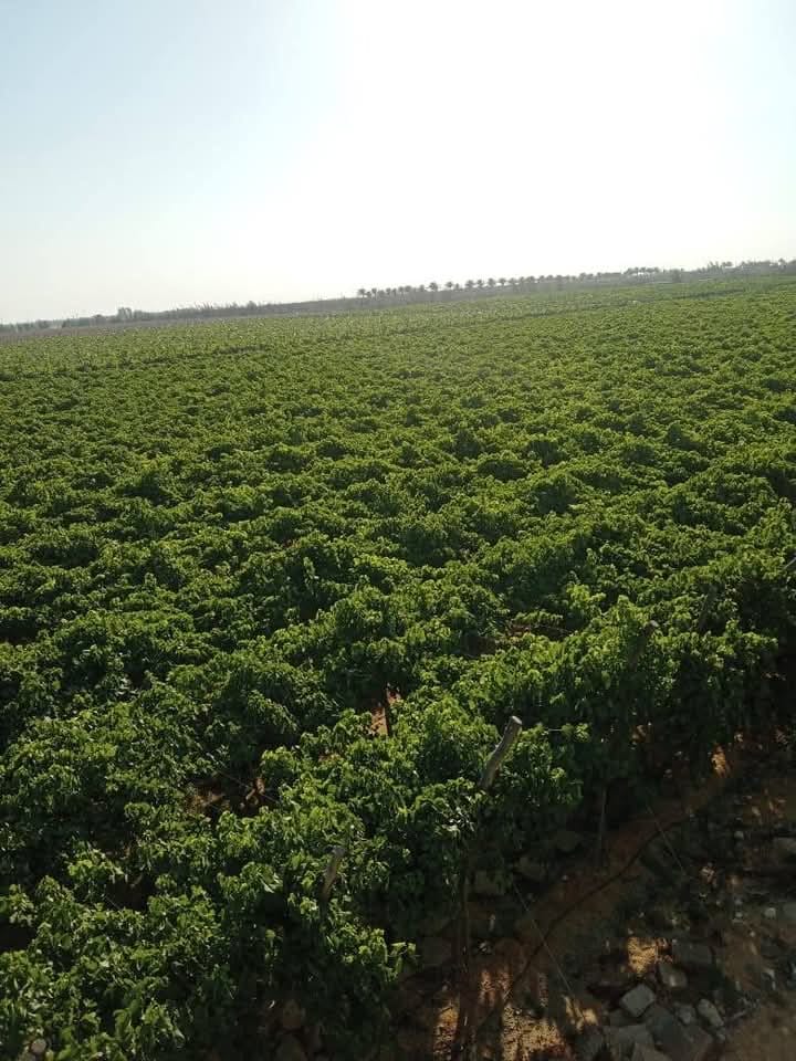 2c9cb0e7-001b-4719-a411-7b41f7909e32