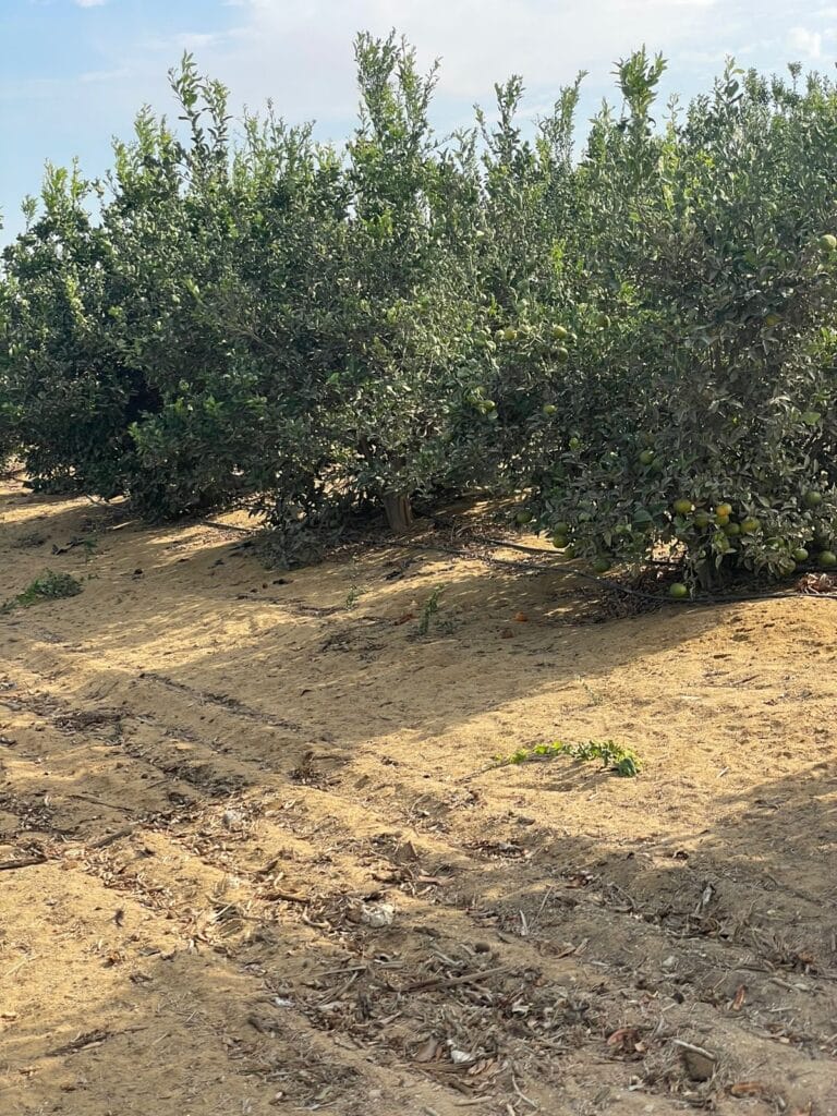 2fff169d-6fa8-47e9-8640-d5c1f78ff784