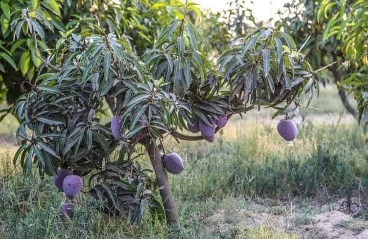 32fff1ac-8941-44e8-9330-d48ddae117bf