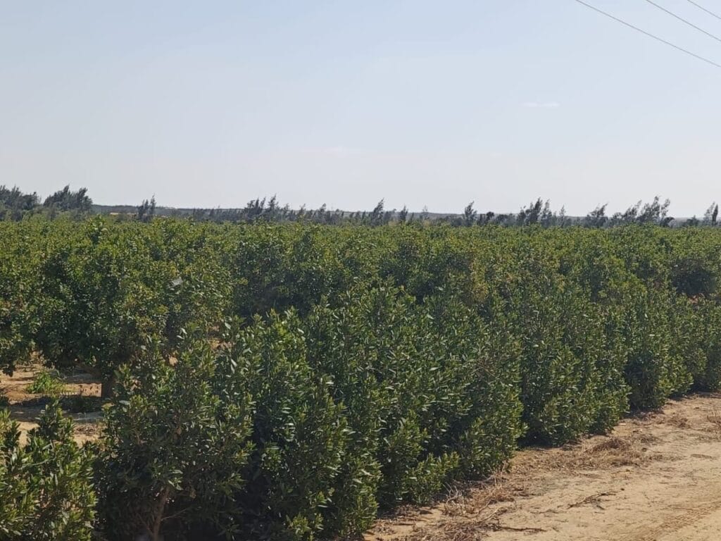 3623c6f0-e56a-4559-a159-263603b53b6d