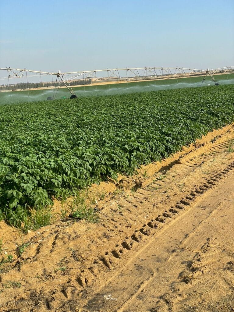 3a65395d-2a2c-4a10-a03c-69afe6a76386