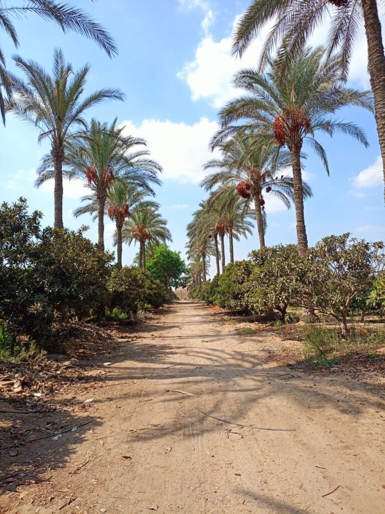 3d1bd724-9c79-4295-a8b1-f4a32fe69d2a