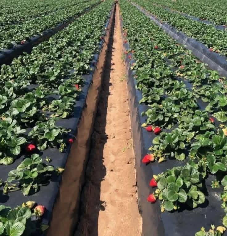 437ad435-3944-4b9a-a41e-93e67edff147