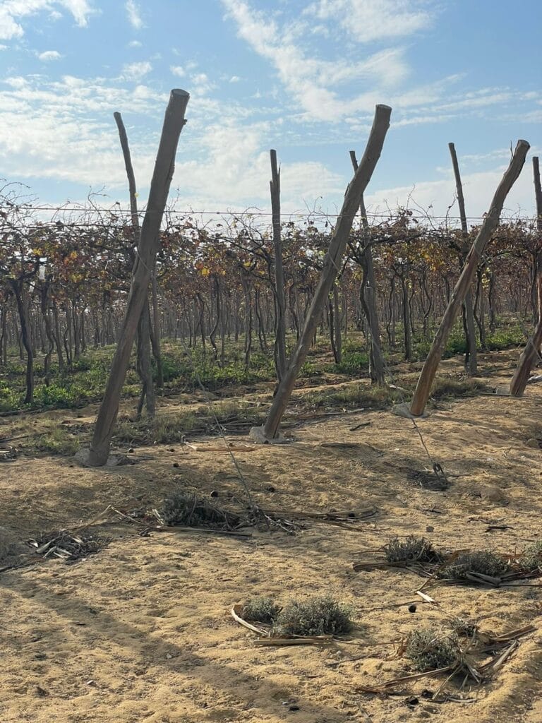 44991a7d-3dd8-4a33-91ec-917eaeb9cfd4