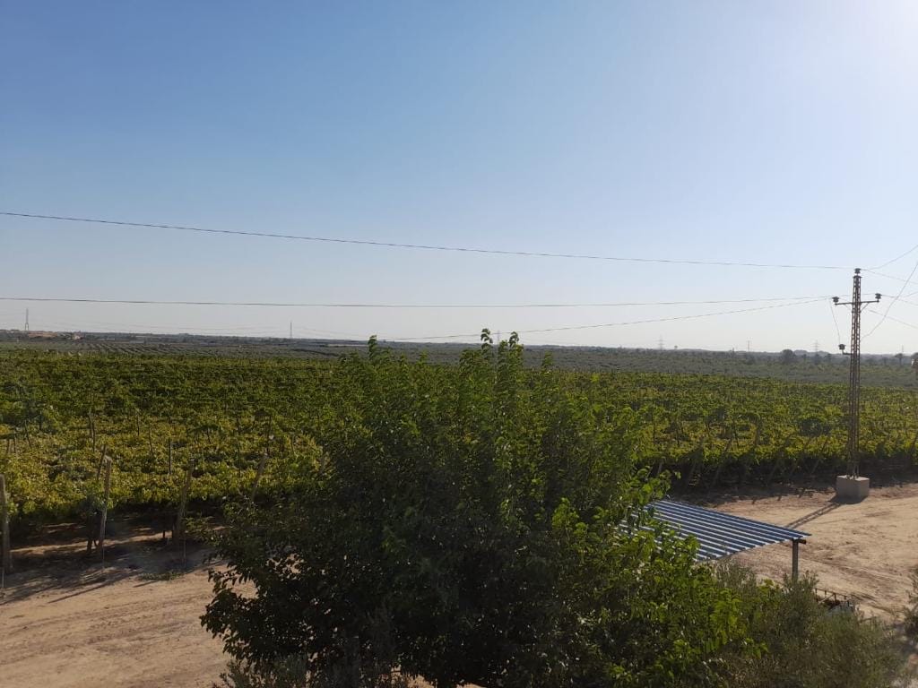 566fafa8-19b4-450b-ac6e-eb1ad369a852