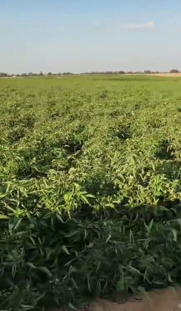 63976149-1963-4889-af5f-f21ec9590d4d