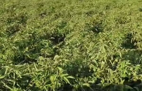 63976149-1963-4889-af5f-f21ec9590d4d