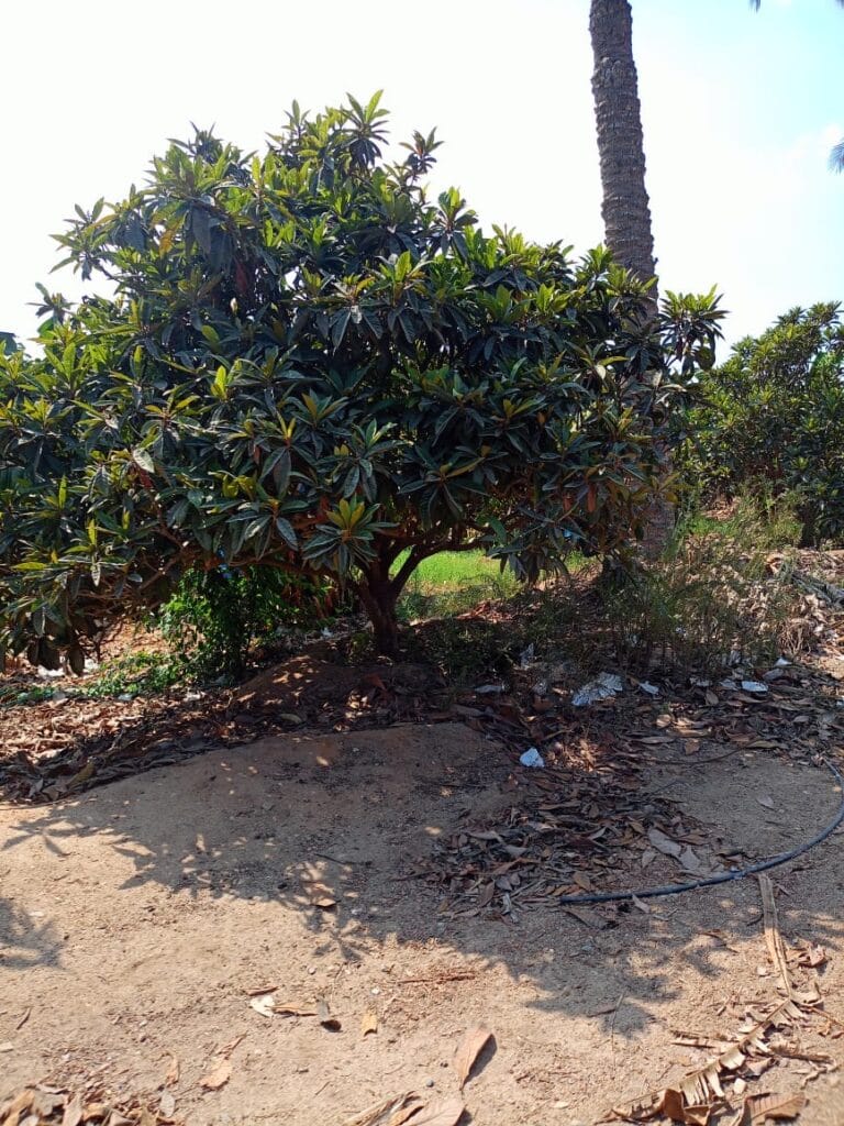 6da427db-2c32-4a0e-bbfc-5972348f997b