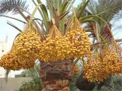 6e9f8b44-3b1c-47ed-ada4-bc87b7dcc415