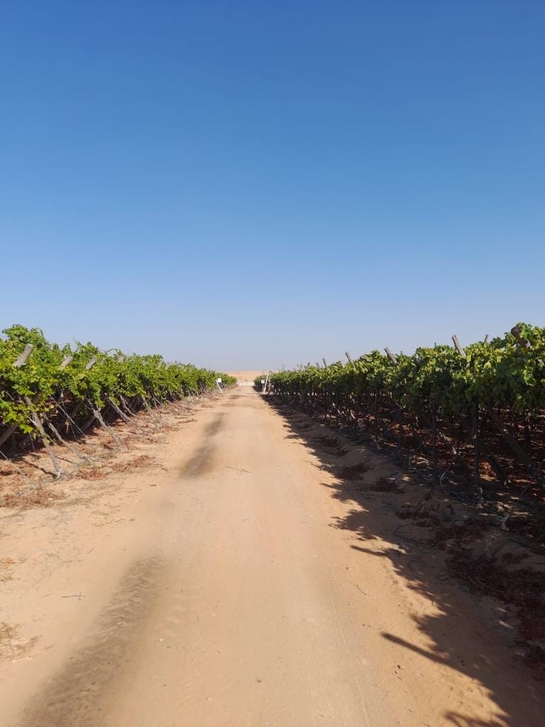 6f5d206d-3d29-4626-a430-87790106a3d5