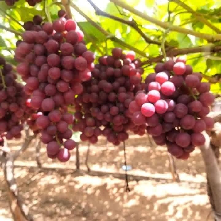 71299a65-c48a-4b78-9f0a-5fd1d4b56142