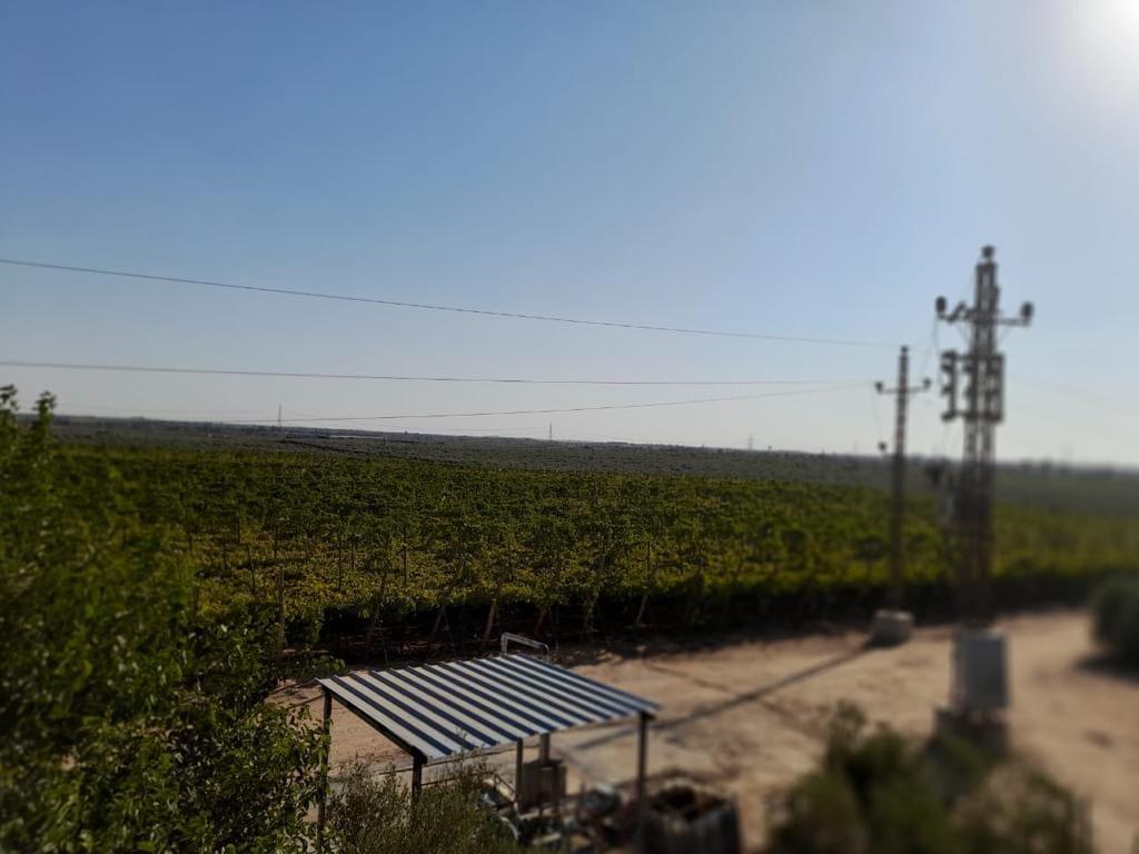 757221e8-d70d-4b01-9e35-3aae89032e80