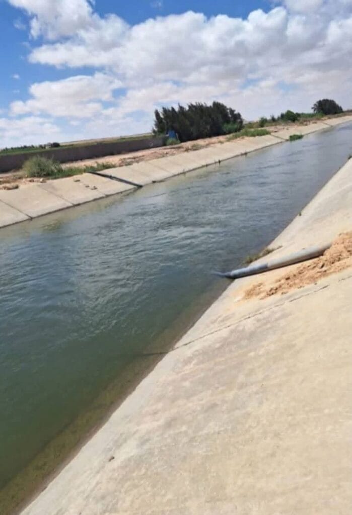 7bb95d01-258e-4b75-b85a-8975c7451268