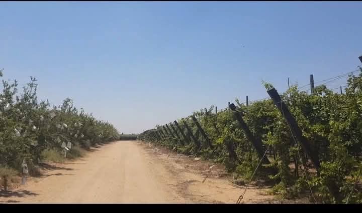 7cf2b698-6577-487d-93b4-5c94cc76c0f2