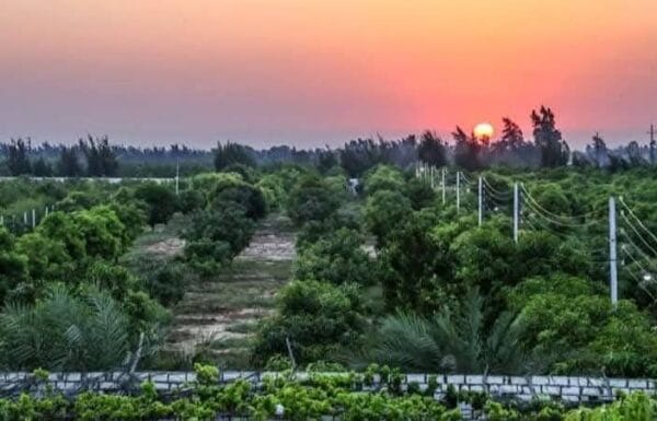 8124c3cb-e878-40a3-95a6-799f5882147a