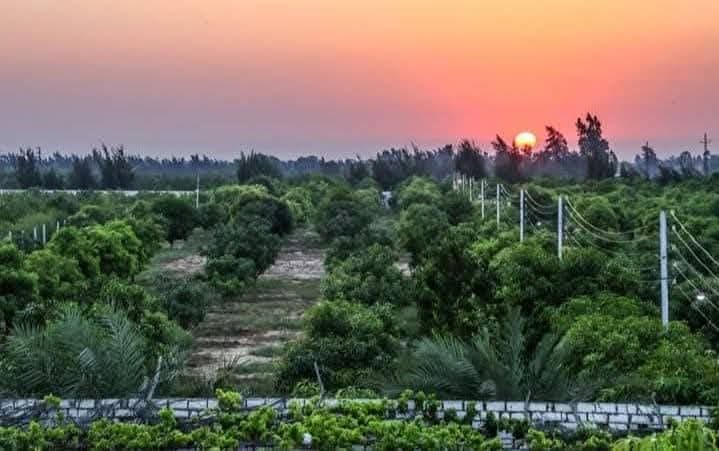 8124c3cb-e878-40a3-95a6-799f5882147a