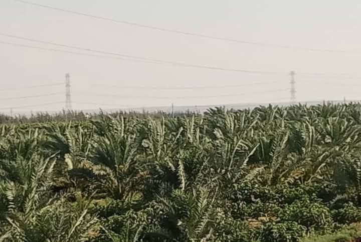 864043f1-605c-45ca-9b88-47876bdb6198