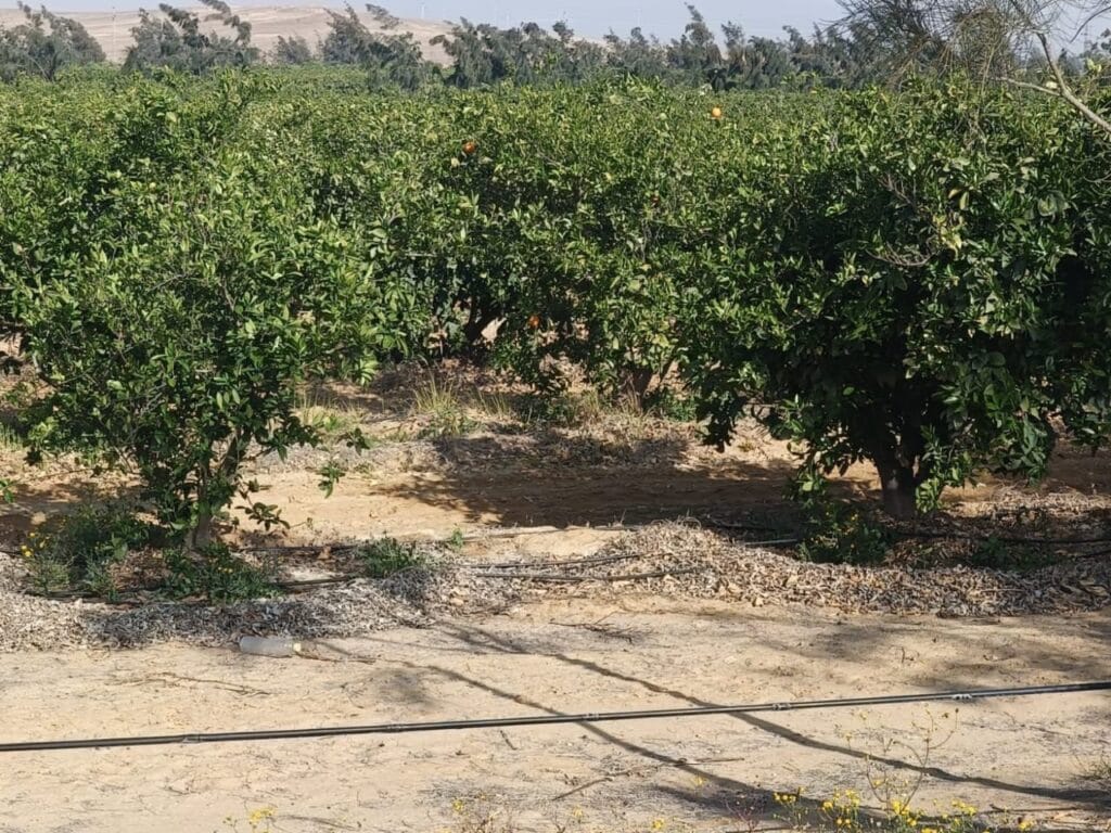 9abffb71-0a94-4aab-9ad1-b395b188f38e