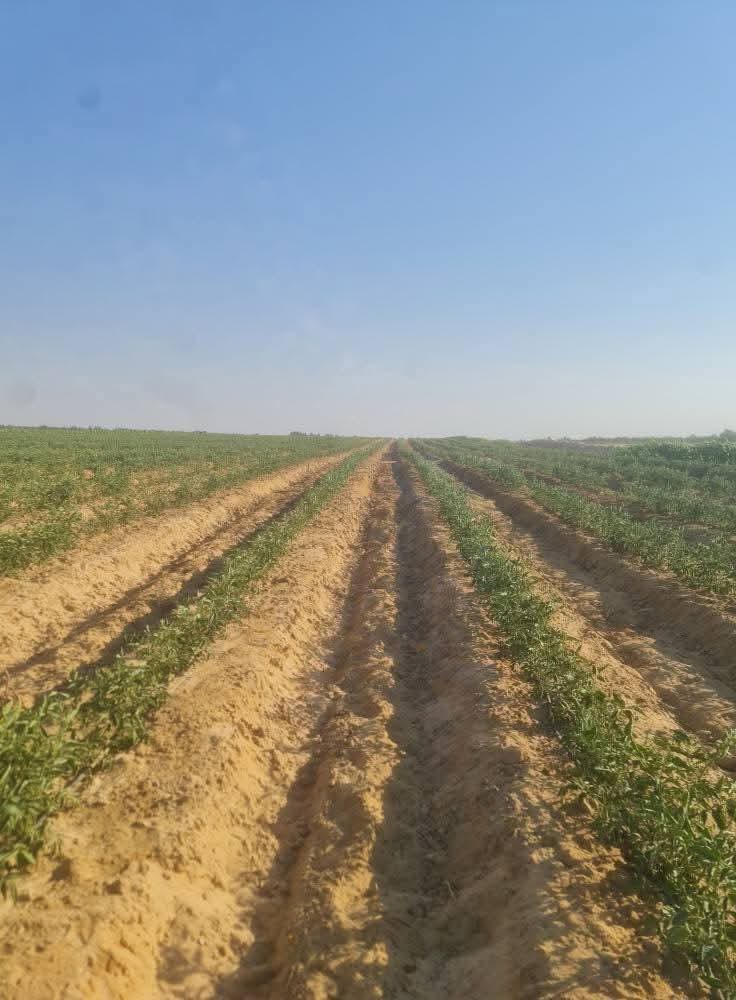 FB_IMG_1763839798109-1