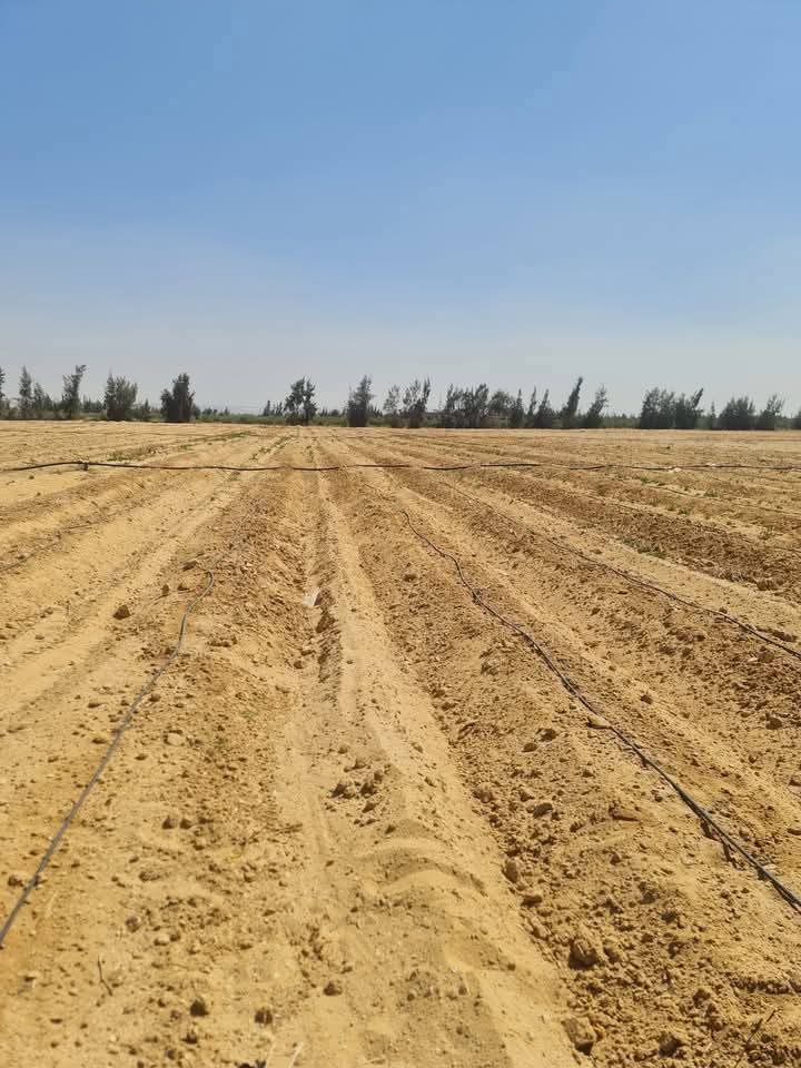 FB_IMG_1763839800641-1