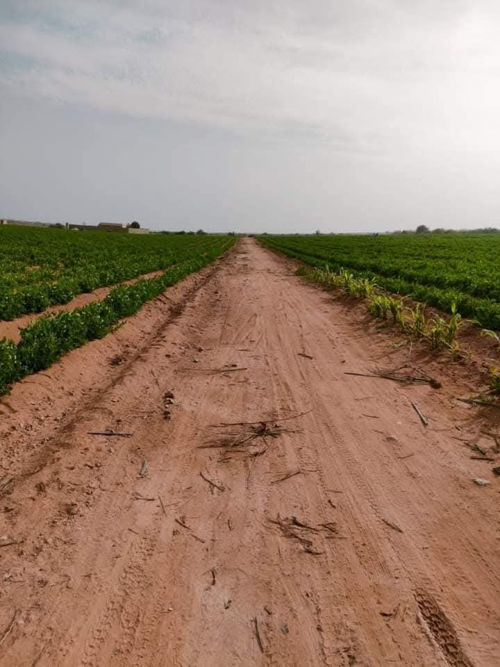 FB_IMG_1763840064193-1