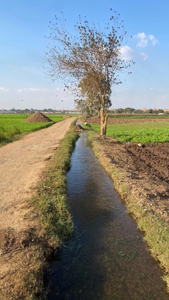 FB_IMG_1764237338379-4