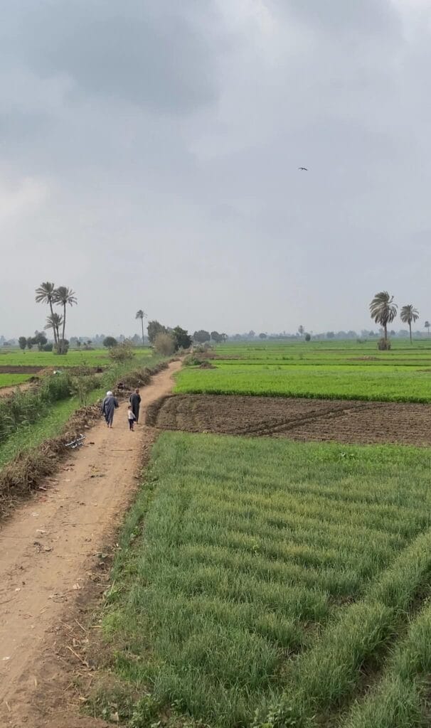 FB_IMG_1764237412506-4