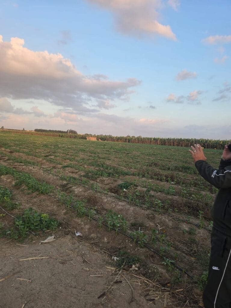 IMG-20251214-WA0019-1