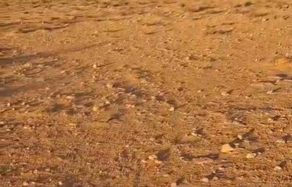 Screenshot_٢٠٢٥١٢٢٥_١١٢٦٣٧_Video-Player-1