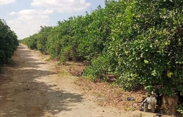 ad2bc6a7-bd7c-4d22-b9d5-1f14d7524a48