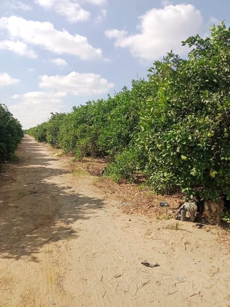 ad2bc6a7-bd7c-4d22-b9d5-1f14d7524a48