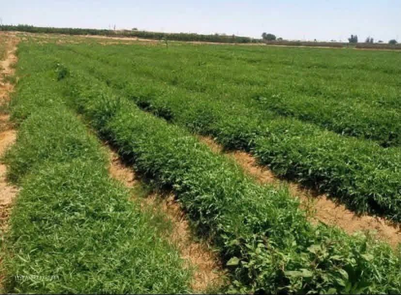 b72d971e-97f2-4825-8990-acf857dd6c0e