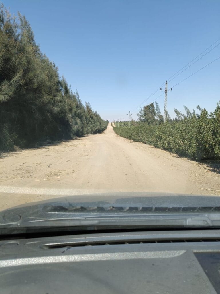 d5d5bc3e-440f-4f63-8e57-f5c2a214b9b7