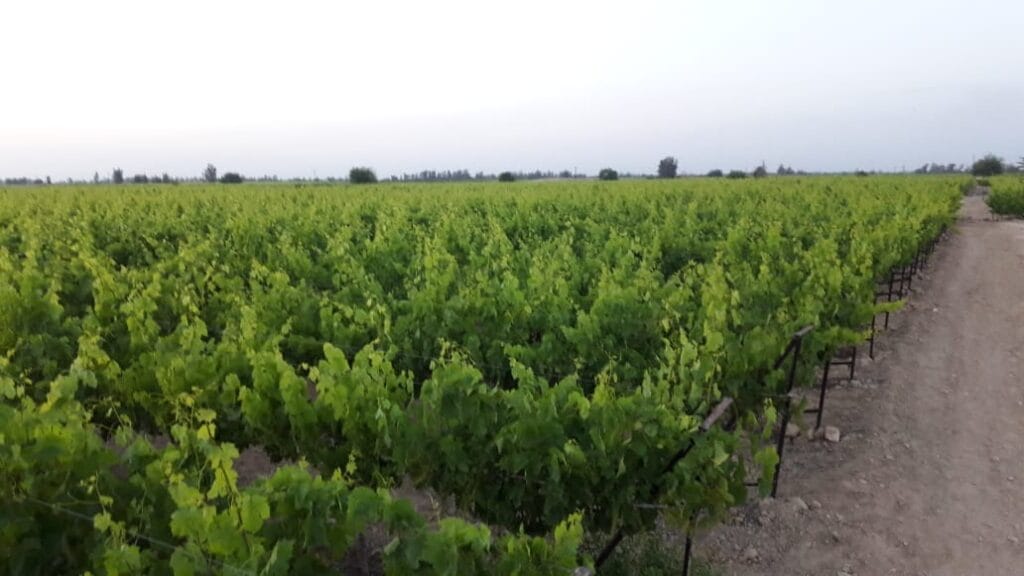 db5ea270-b807-4ffa-a56e-ff8e3613e15f