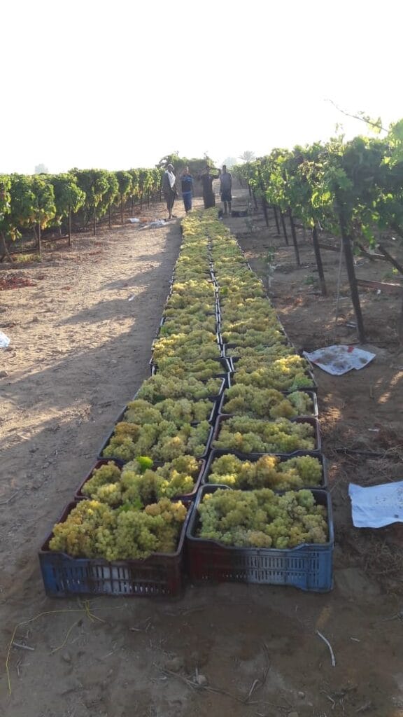 f1f70230-74b6-48c8-9804-b8b61610023d