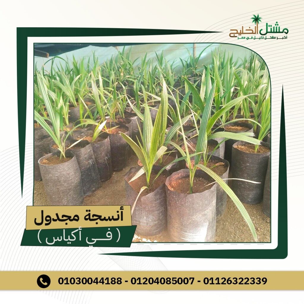 e2dc57fe-1995-4635-9757-b9742a703067