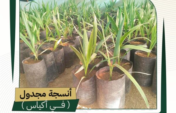 e2dc57fe-1995-4635-9757-b9742a703067