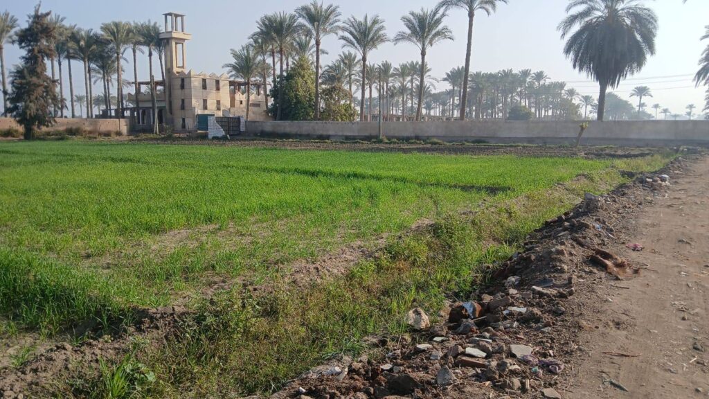 660943217_122262324536163868_2547270227520131241_n