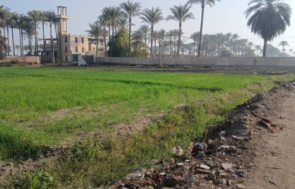 660943217_122262324536163868_2547270227520131241_n